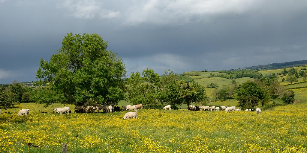 ENE-20140513-0398.jpg - Chaumont, Saône-et-Loire